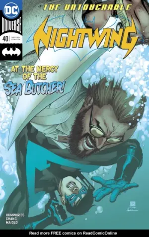 Nightwing (2016) Issue #40 cover