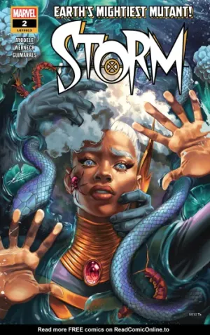 Storm (2024) Issue #2 cover