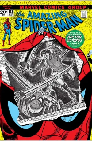 The Amazing Spider-Man (1963) Issue #113 cover