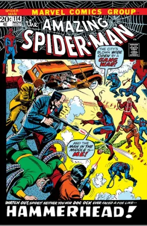 The Amazing Spider-Man (1963) Issue #114 cover