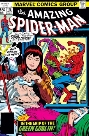 The Amazing Spider-Man (1963) Issue #178 cover