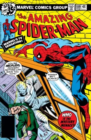 The Amazing Spider-Man (1963) Issue #189 cover