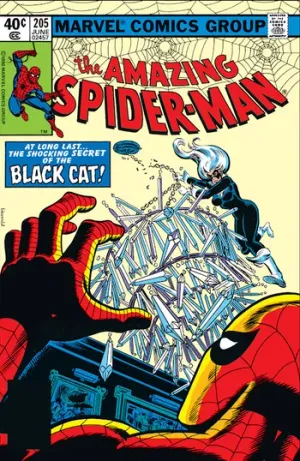 The Amazing Spider-Man (1963) Issue #205 cover