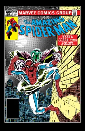 The Amazing Spider-Man (1963) Issue #231 cover