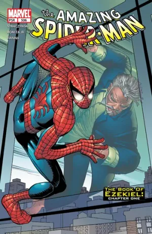 The Amazing Spider-Man (1963) Issue #506 cover