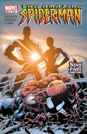 The Amazing Spider-Man (1963) Issue #510 cover