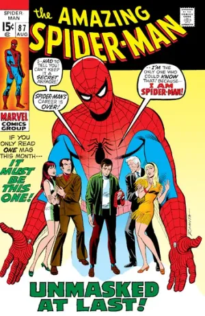 The Amazing Spider-Man (1963) Issue #87 cover