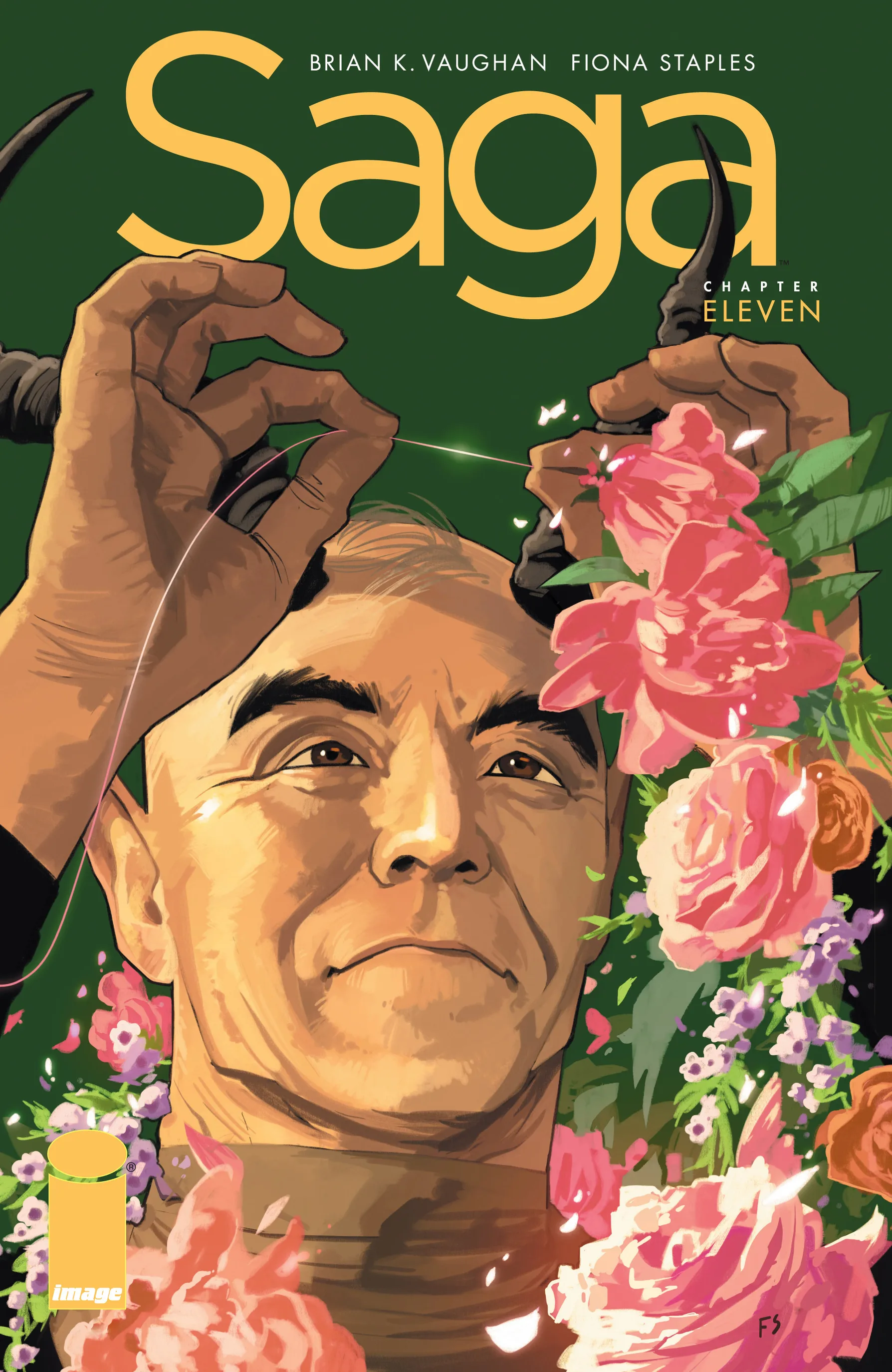 Saga (2012-) #11 cover